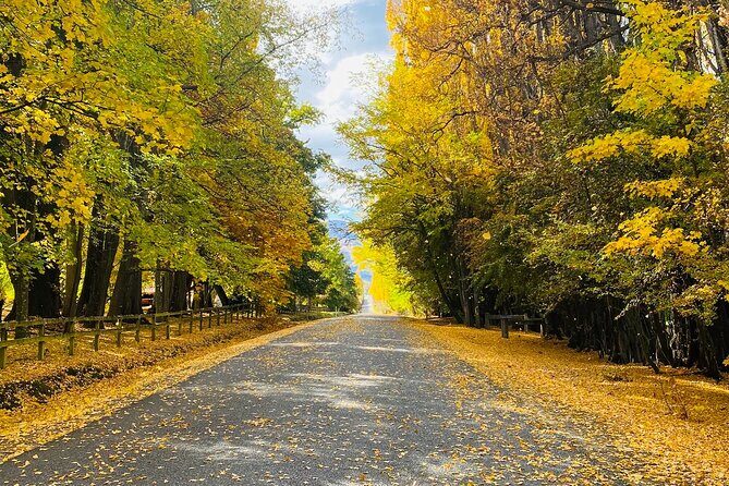 Full Day Sightseeing Tour To Discover Queenstown's Scenic Wonder - Transportation & Duration