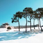 Full Day Tour of Suwon Hwaseong and Deogyusan - Practical Details and What to Expect