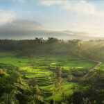 Full Day Tour to Water Temples UNESCO Rice Terraces in Bali - Who Is This Tour Best Suited For?