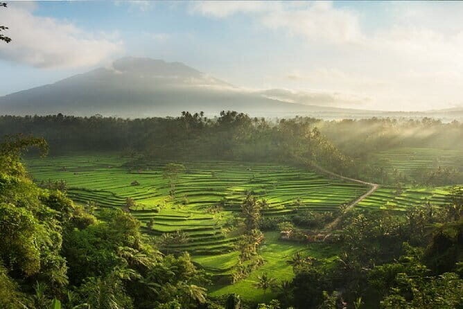 Full Day Tour to Water Temples UNESCO Rice Terraces in Bali - Who Is This Tour Best Suited For?