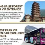Full VIP Zhangjiajie National Forest Park Day Tour - Why This Tour Works Well