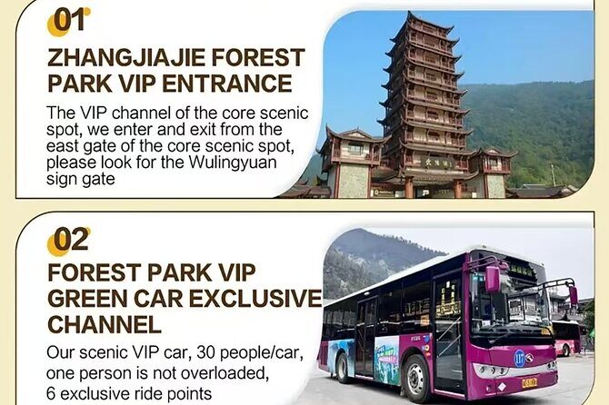Full VIP Zhangjiajie National Forest Park Day Tour - Why This Tour Works Well