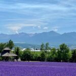 Furano and Biei Special Complete package - What the Tour Means for You