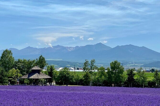Furano and Biei Special Complete package - What the Tour Means for You