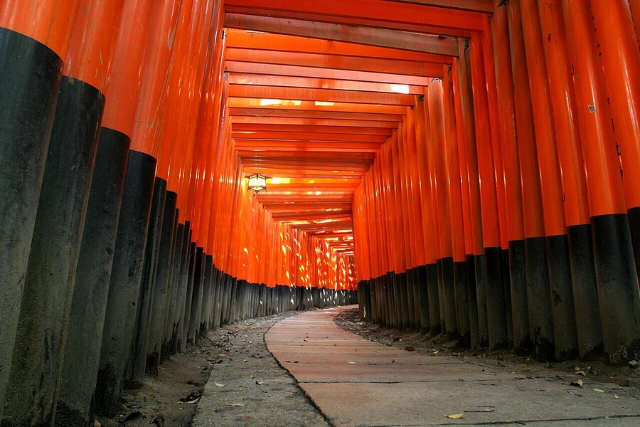 Fushimi Inari Taisha torii tunnel large view