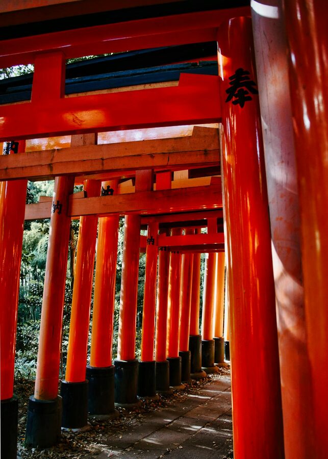 Iconic red torii gates lining the path at Fushimi Inari Shrine Kyoto