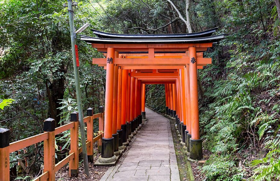 Fushimi Inari Taisha torii gate tunnel