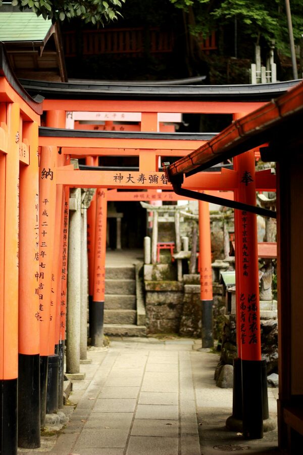 Looking through the red torii gate tunnel at Fushimi Inari Taisha with soft morning light