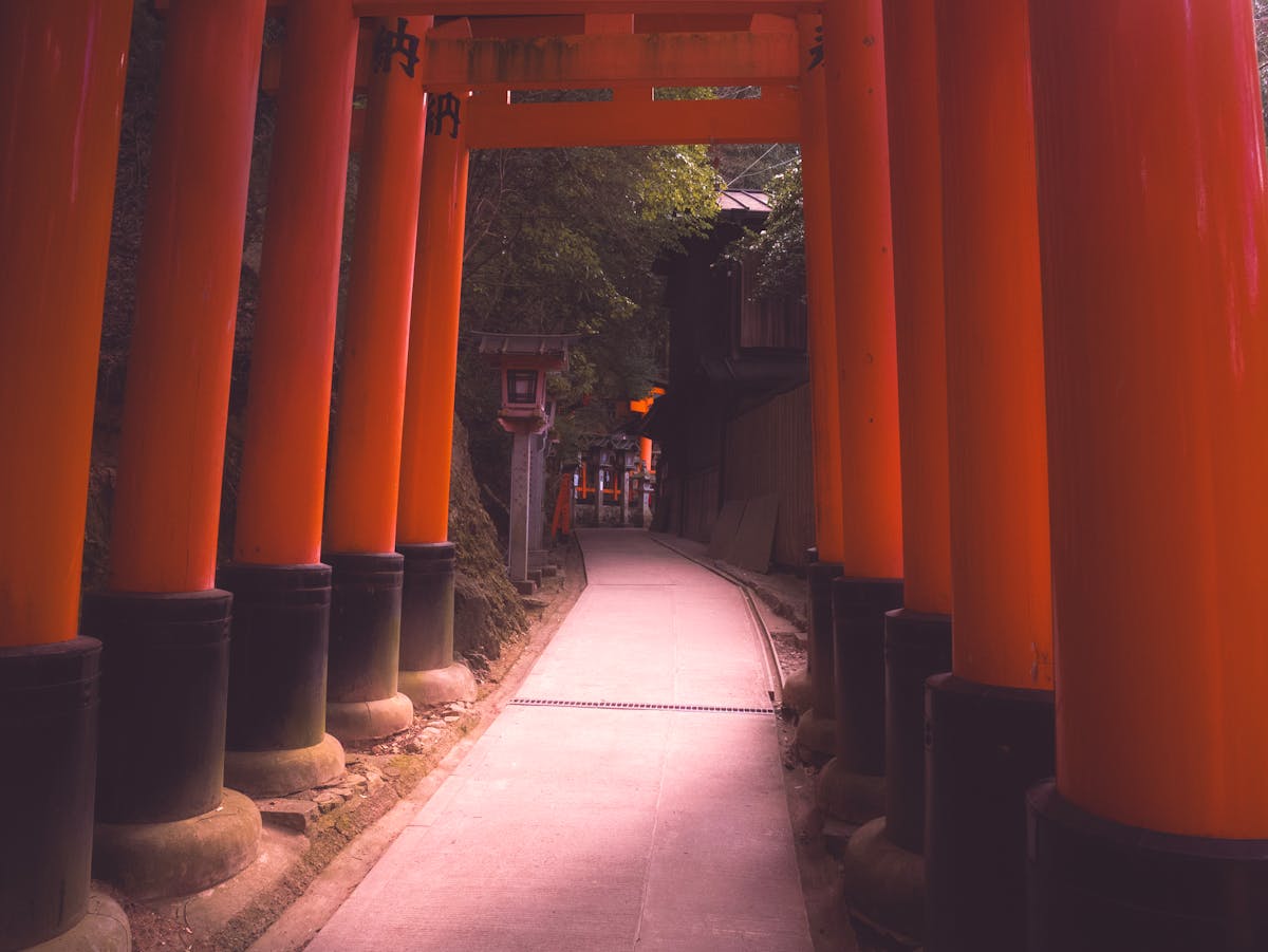 Vermillion torii gates lining the path up Mount Inari at Fushimi Inari Shrine in Kyoto
