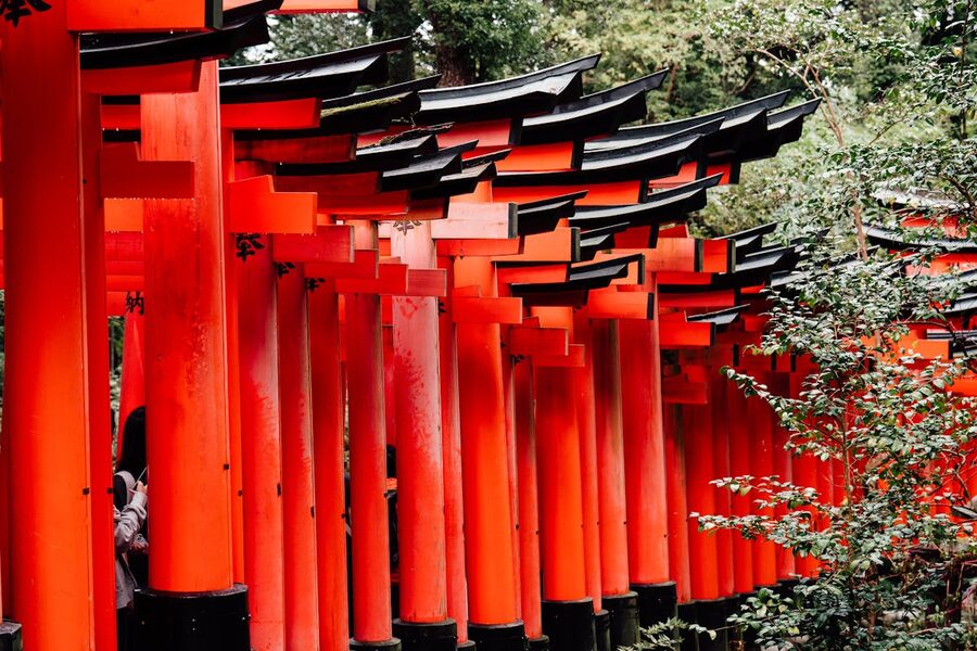 Red torii gates surrounded by lush green forest on Mount Inari