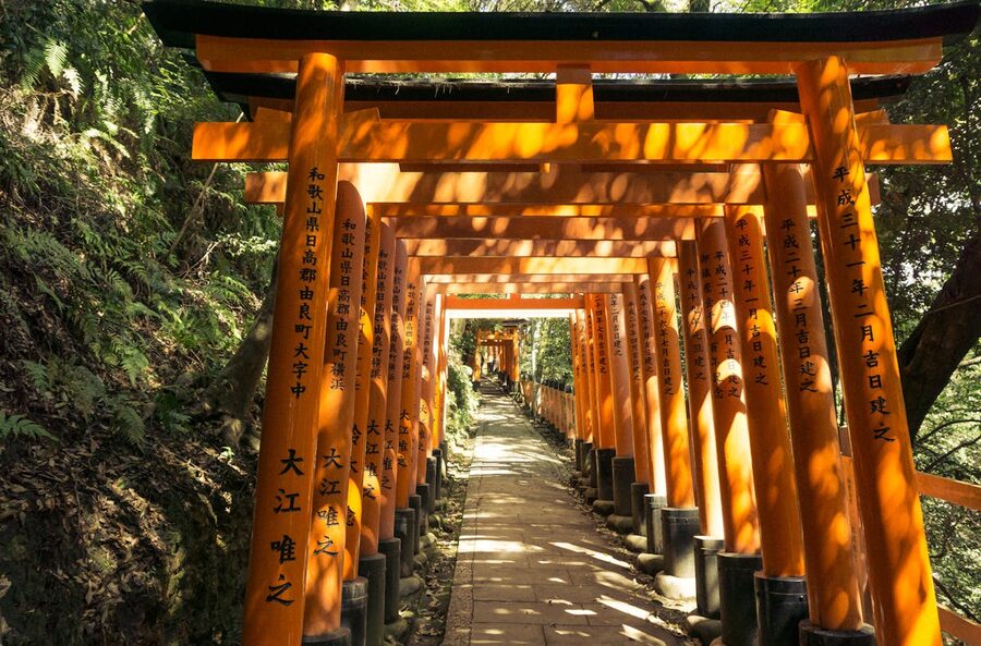 Orange torii gates at Fushimi Inari Taisha glowing in sunlight