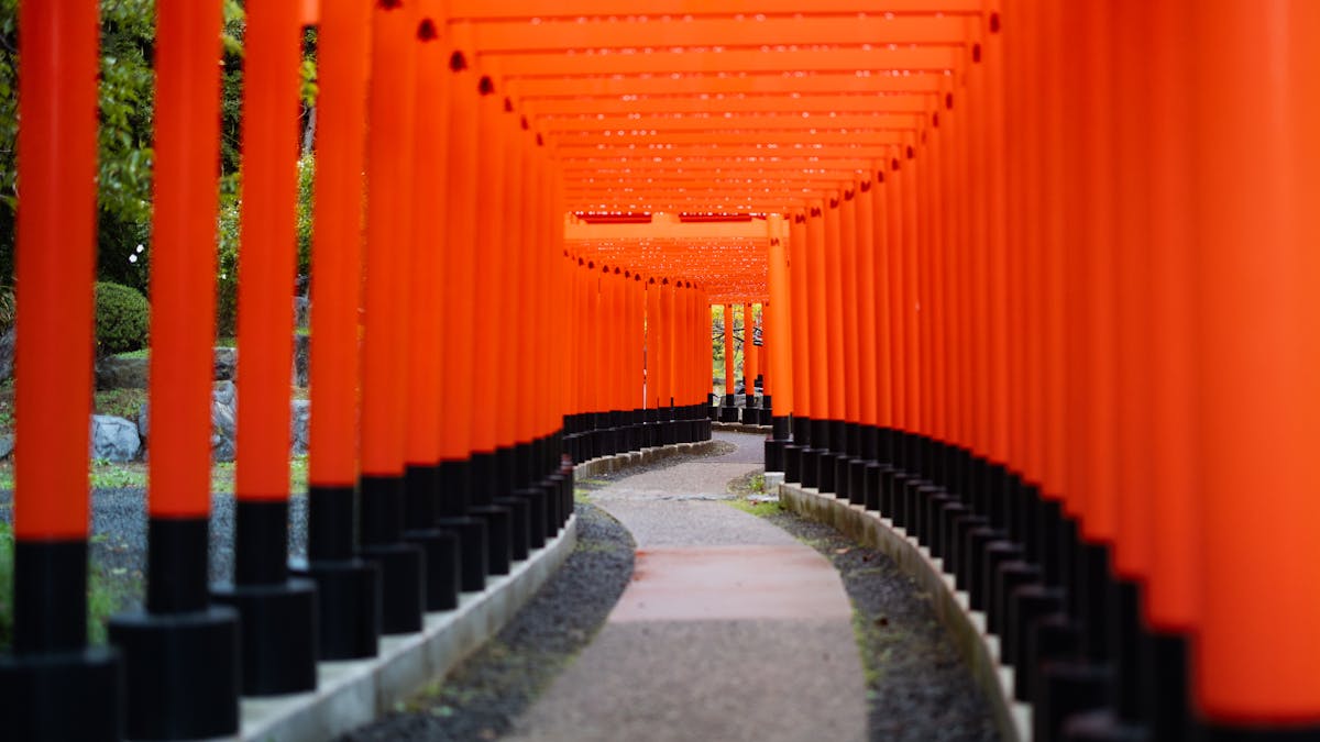 Wide angle view of the torii gate path at Fushimi Inari Shrine Kyoto
