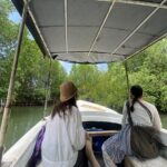 Galle Day Tour with Turtle Hatchery & River Boat Safari - What Makes This Tour Stand Out