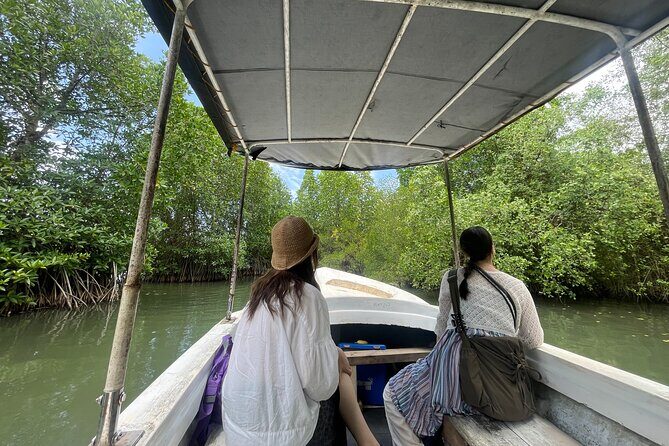 Galle Day Tour with Turtle Hatchery & River Boat Safari - What Makes This Tour Stand Out