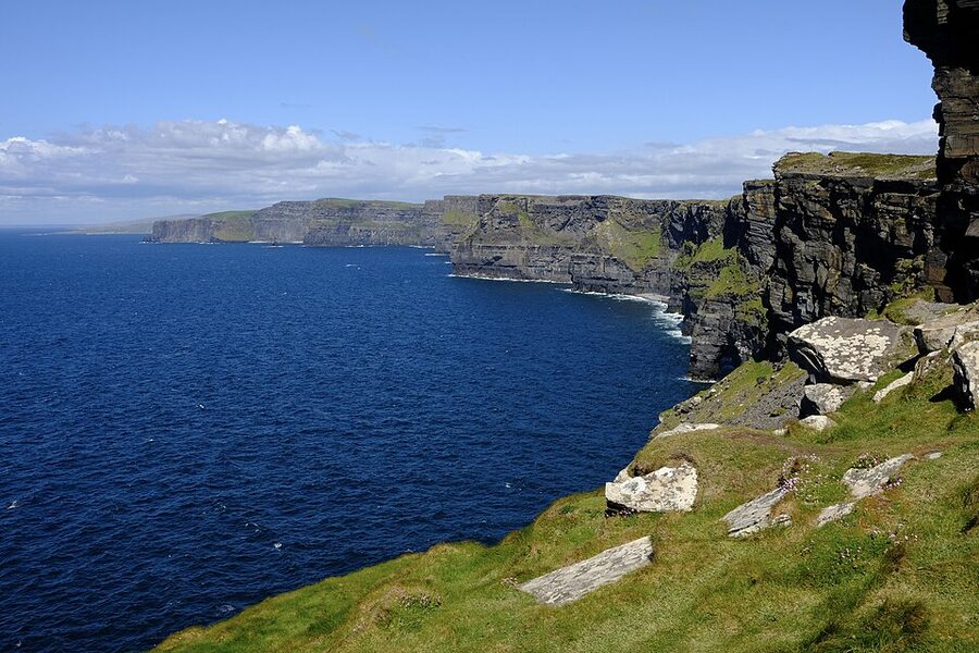 Cliffs of Moher with pink sea thrift wildflowers