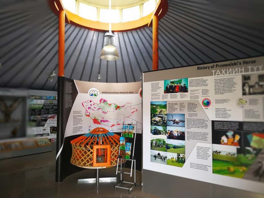 Gandan monastery and Hustai National park-all inclusive tour - The Journey Begins: Gandan Monastery