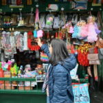 Gangtok: Guided Walking Tour with Ridge Park & Monastery - What’s Included & What’s Not