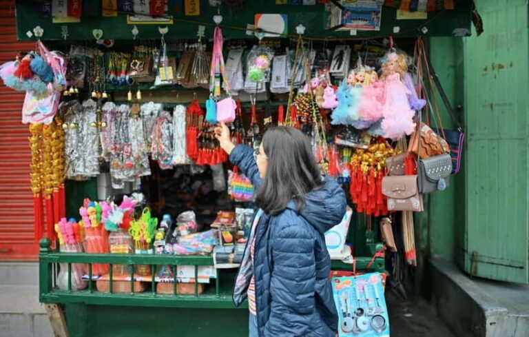 Gangtok: Guided Walking Tour with Ridge Park & Monastery - What’s Included & What’s Not