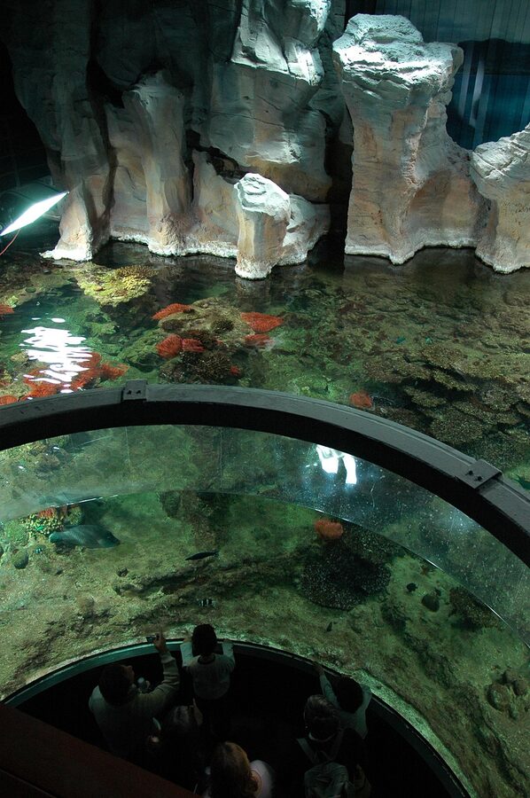 Visitors inside the Genoa Aquarium looking at marine life