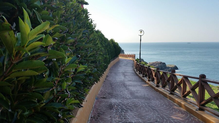 Geoje Island coastal walking trail in summer