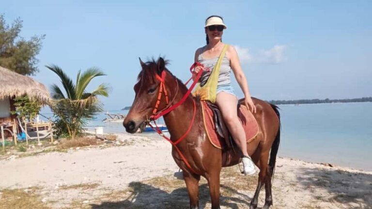 Gili Air: 1-Hour Horse Riding Adventure - Final Thoughts
