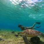 Gili Islands: Private Sunset & Snorkeling Tour with GoPro - Snorkeling at Iconic Sites