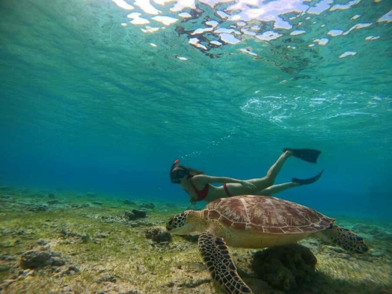 Gili Islands: Private Sunset & Snorkeling Tour with GoPro - Snorkeling at Iconic Sites