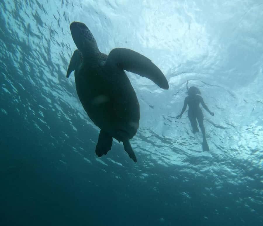 GILI T : PRIVATE SNORKELING TRIP 5 HOURS 3 GILI - What Makes This Trip Stand Out?