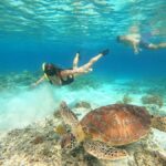 Gili Trawangan: Private Snorkeling (Coral, Statues, Turtles) - The Experience in Detail: What to Expect