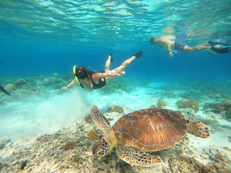 Gili Trawangan: Private Snorkeling (Coral, Statues, Turtles) - The Experience in Detail: What to Expect