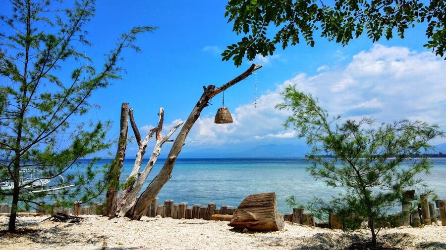 Serene beach setting in Pemenang Indonesia with hanging basket and driftwood