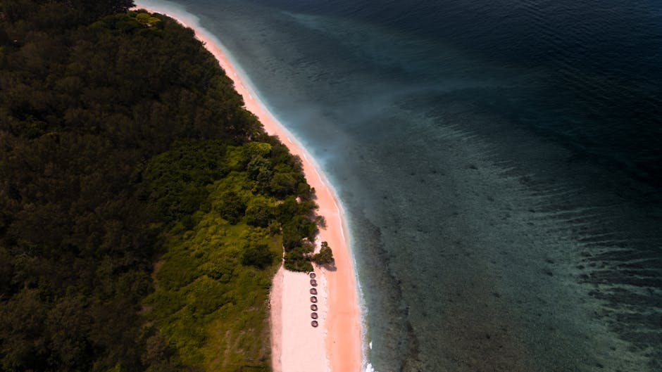 Aerial view of an unspoiled Indonesian beach with lush green trees