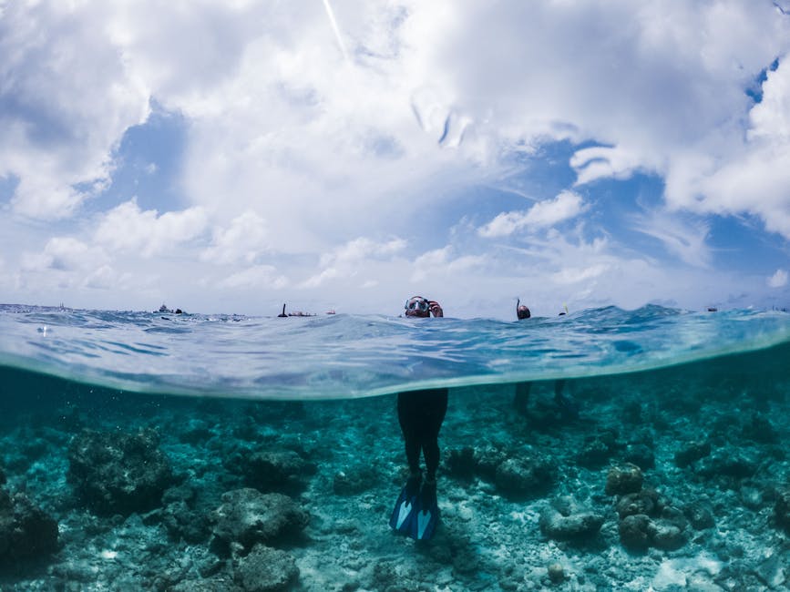 Person wearing snorkel mask and fins standing in turquoise tropical water