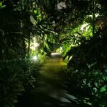 Glow with the Flow: Singapore's Illuminated River Experience - Detailed Breakdown of the Itinerary