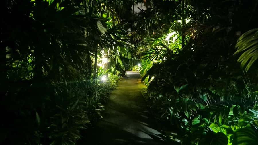 Glow with the Flow: Singapore's Illuminated River Experience - Detailed Breakdown of the Itinerary