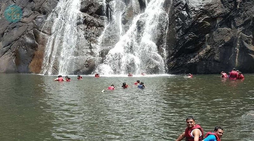 Goa: Dudhsagar Waterfall, Jeep Safari and Spice Plantation - Authentic Insights from Past Travelers