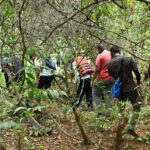 Goa: Forest and River Trail with local Breakfast and Lunch - Practical Details & What You Should Know