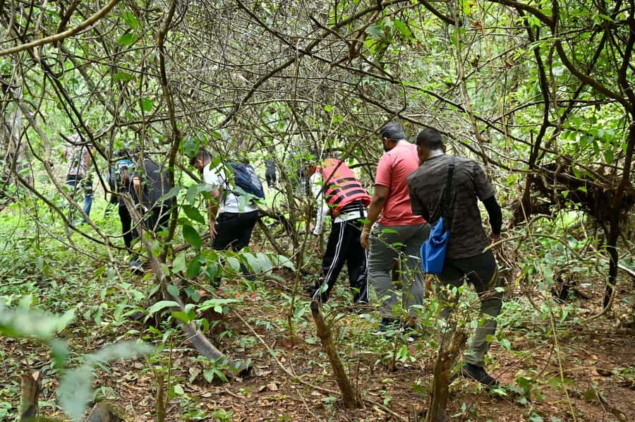 Goa: Forest and River Trail with local Breakfast and Lunch - Practical Details & What You Should Know