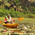 Goa Kayaking : Backwaters and Mangrove Kayaking Experience - The Route: What You’ll See and Do