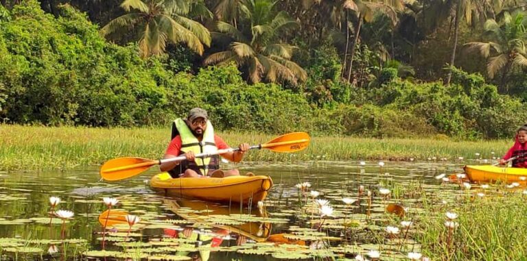 Goa Kayaking : Backwaters and Mangrove Kayaking Experience - The Route: What You’ll See and Do
