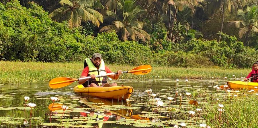 Goa Kayaking : Backwaters and Mangrove Kayaking Experience - The Route: What You’ll See and Do