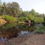 Goa: Relax by the Riverside Forest Day Out with Goan Cuisine - Who Should Consider this Experience?