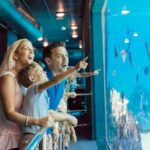 Gold Coast: Sea World Cruise & Entry Combo Ticket - Detailed Itinerary Breakdown