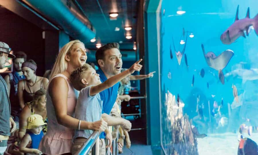 Gold Coast: Sea World Cruise & Entry Combo Ticket - Detailed Itinerary Breakdown