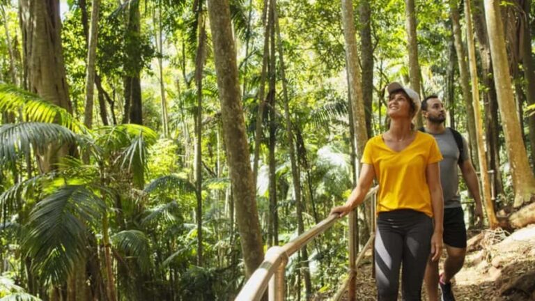Gold Coast: Wine, Distillery & Rainforest Day Tour - What Makes This Tour Stand Out