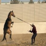 Golden Sands and Fiery Nights 3 Days Across Turkmenistan - What We Loved Based on Reviews