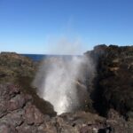 Grand Pacific Drive and Southern Highlands Tour - Transport and Comfort