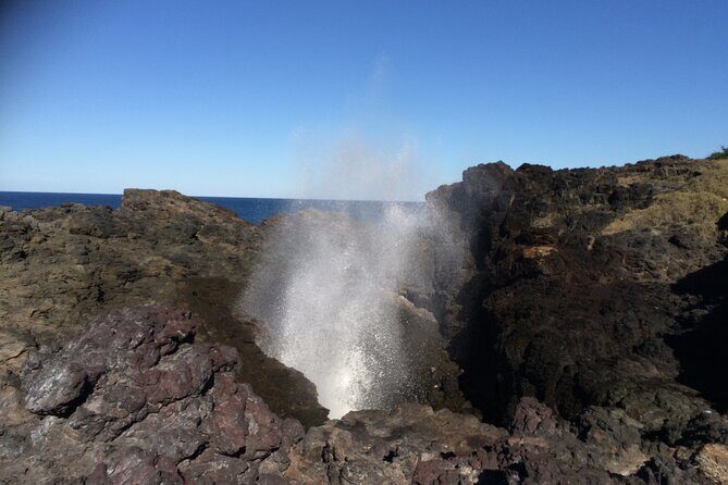 Grand Pacific Drive and Southern Highlands Tour - Transport and Comfort