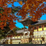 Grand South Korea 12 days 11 nights - Breakdown of the Itinerary: What You Can Expect