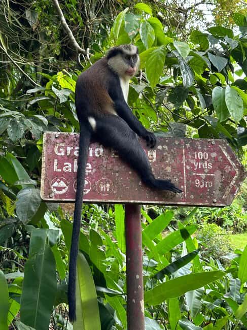 Grenada: Annandale Waterfall, Grand Etang, Grand Anse beach - An In-Depth Look at the Tour Experience
